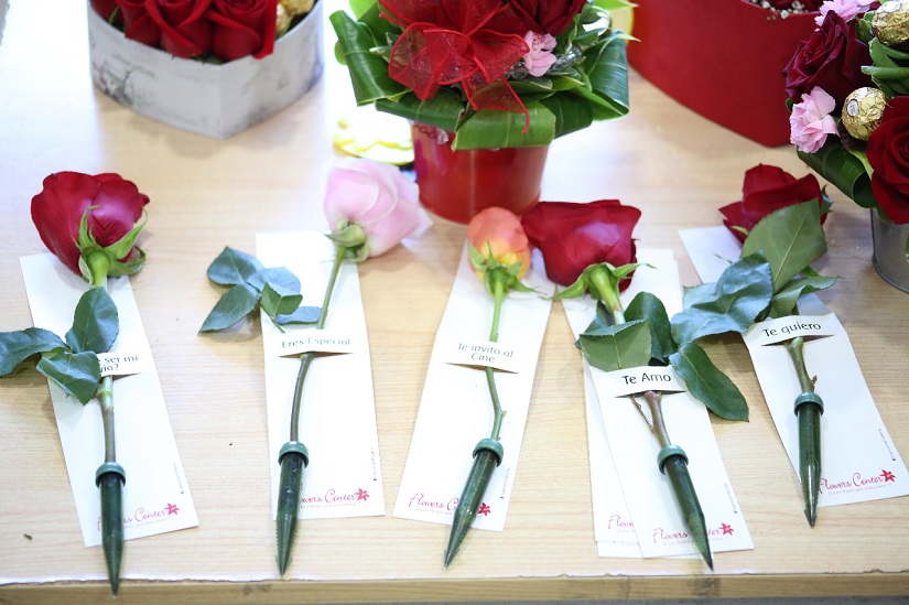 FLORES